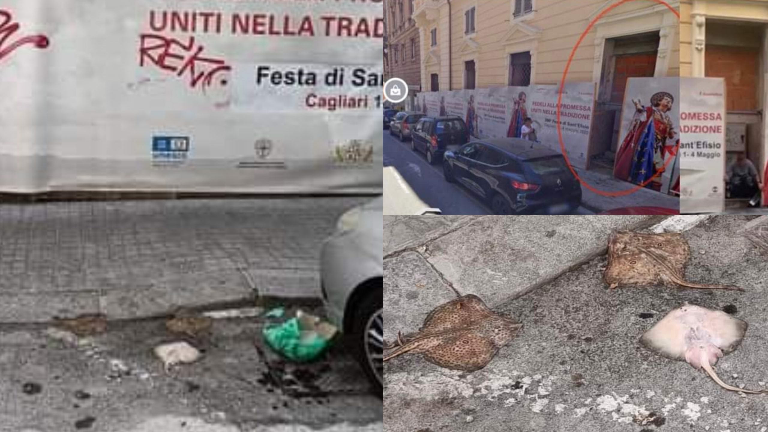 Cafoni scatenati in centro a Cagliari: wc a cielo a aperto e razze gettate in strada in piazza del Carmine