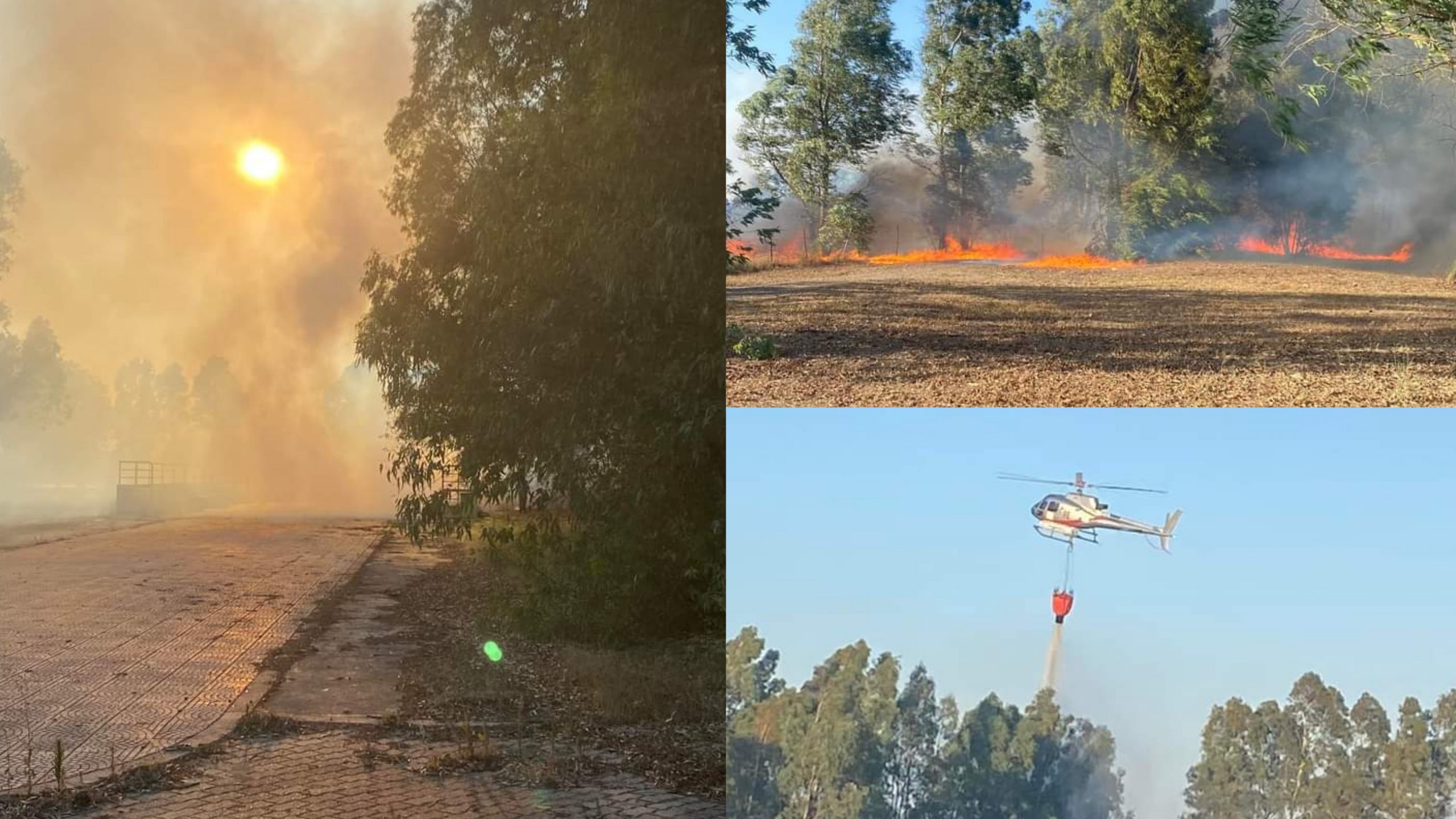 Villasor, fuoco nella pineta: è il terzo tentativo in 15 giorni