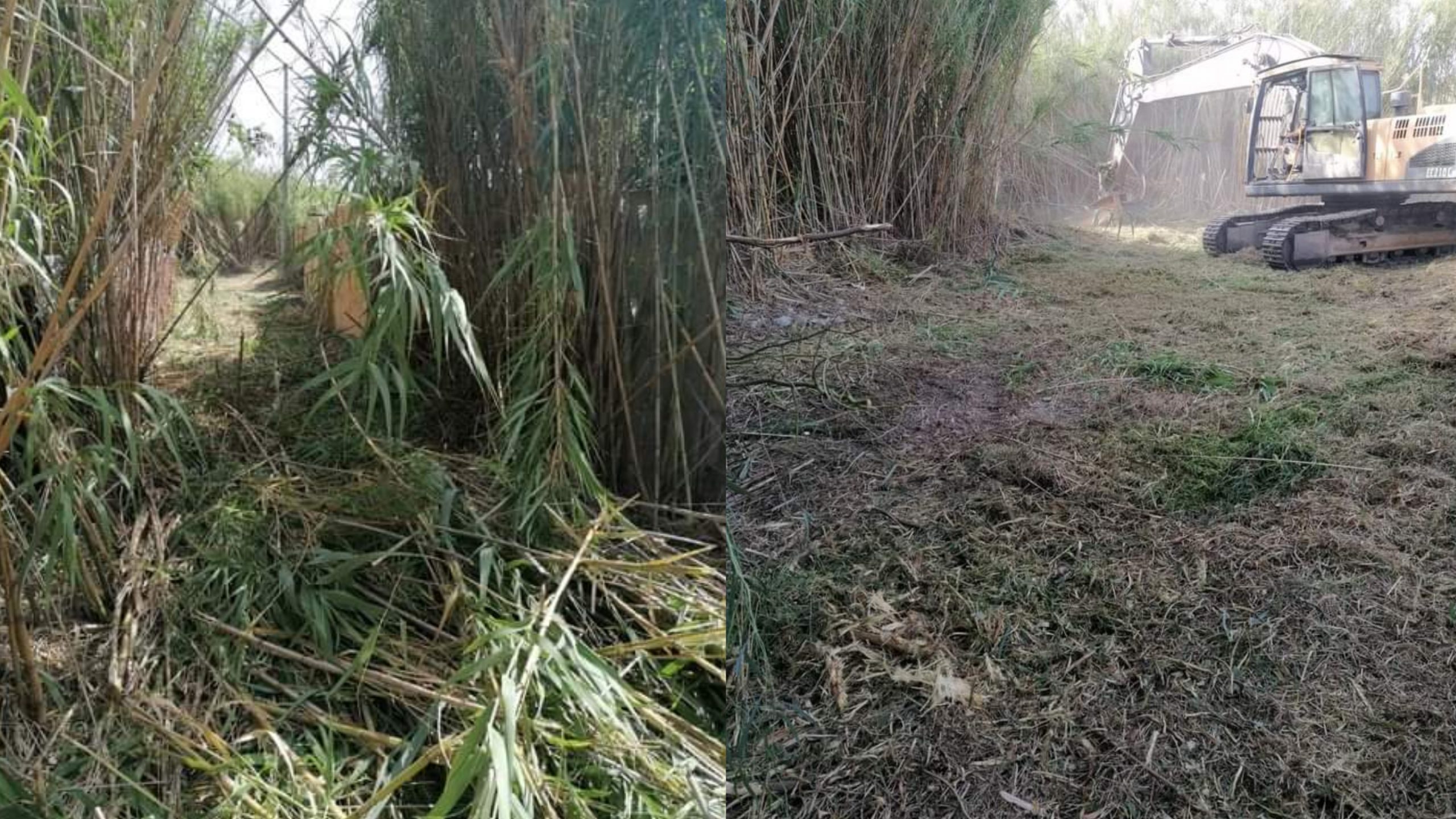 A Quartucciu un orto condiviso per bambini, anziani e migranti