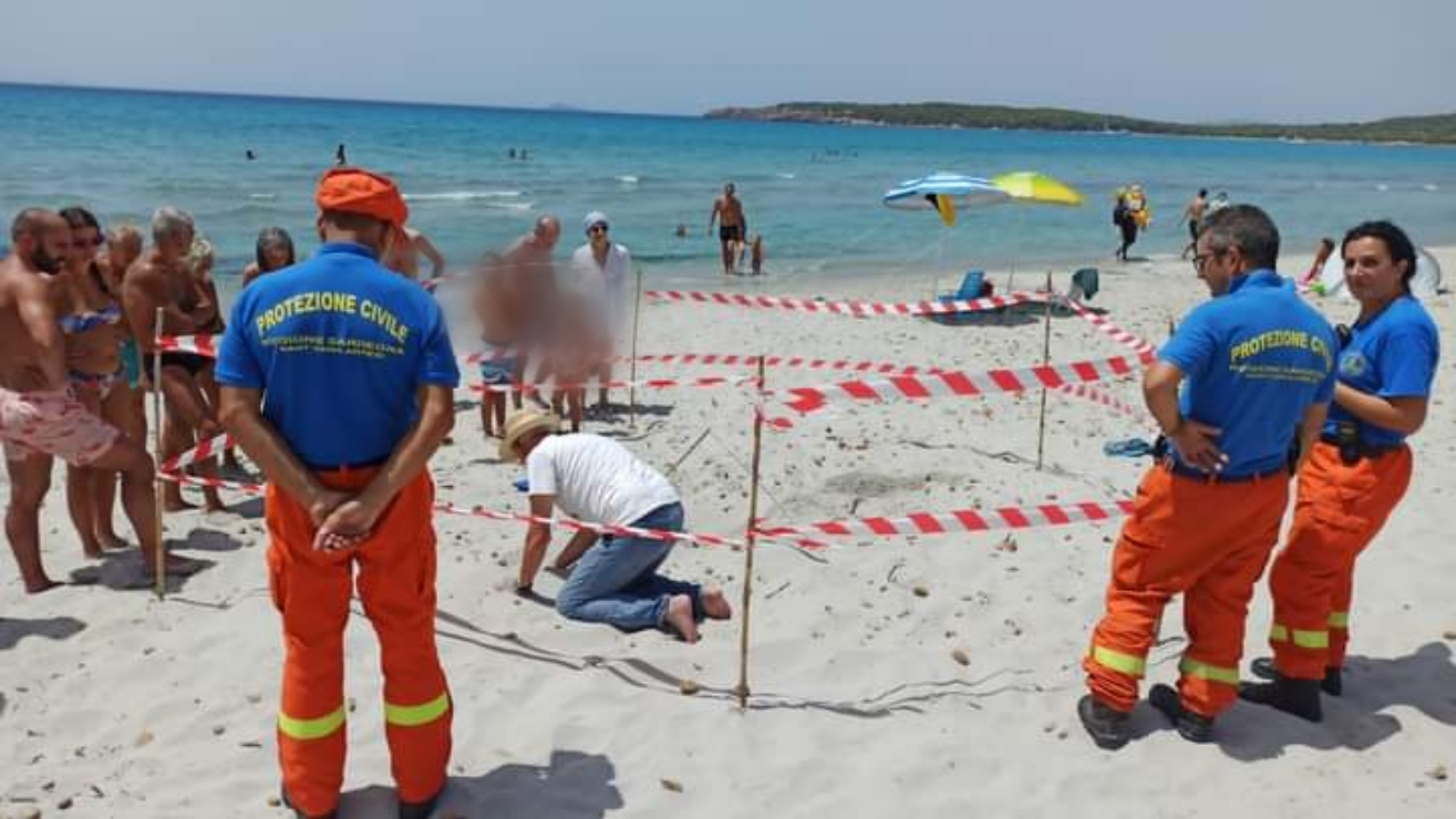 Porto Pino, probabile nido di una tartaruga marina nella località del Sulcis Iglesiente