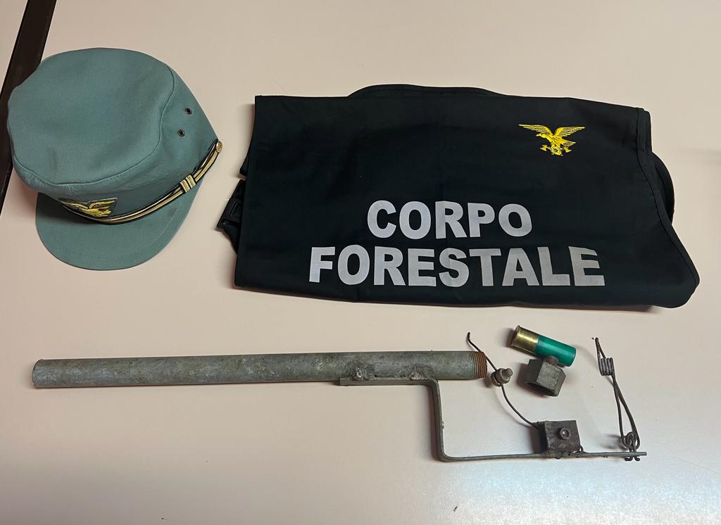 Uccidono daini e mufloni per vendere le loro carni a Cagliari, sgominata banda di trafficanti di armi