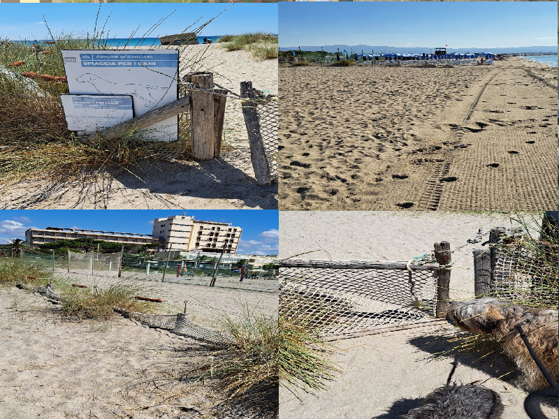 Cagliari, l’area cani del Poetto avvolta dal degrado: “Nessuna pulizia della sabbia e recinzioni allo sfascio”