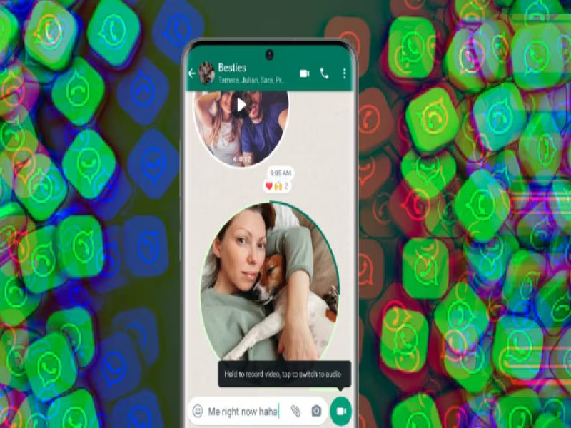 Novità WhatsApp, arrivano i videomessaggi istantanei: come i vocal ma in versione video