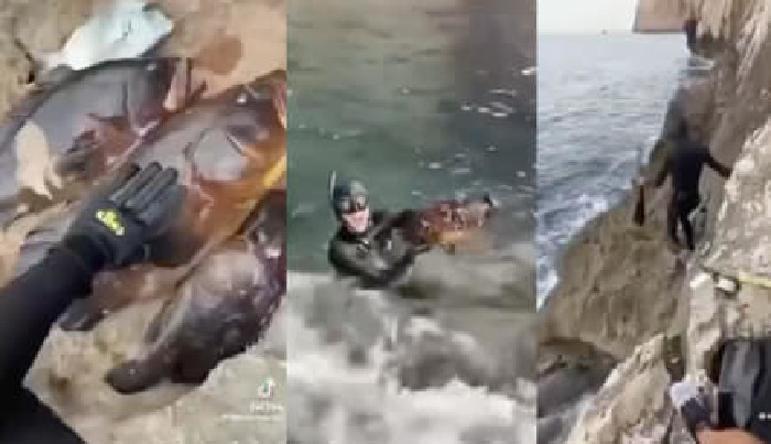 Tiktoker pesca nell’area marina protetta di Alghero e poi rivende il pesce: a processo