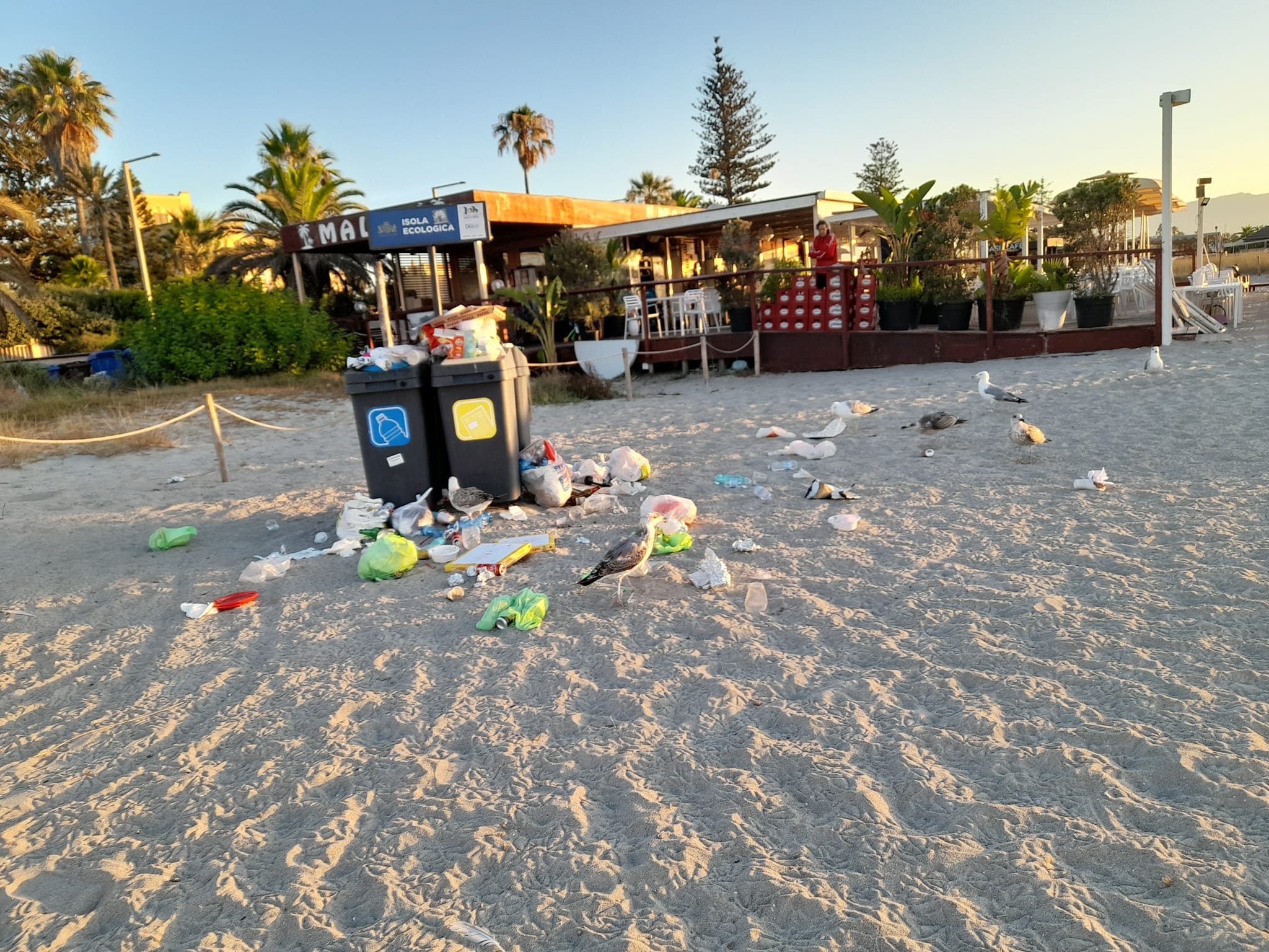 Cagliari, la grande schifezza alla Quarta fermata del Poetto: tappeto di rifiuti e gabbiani felici