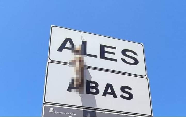 Benvenuti ad Ales, cucciolo di volpe ucciso appeso nel cartello stradale