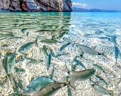 Le acque cristalline di Cala Mariolu per pubblicizzare Corfù: indignazione a Baunei