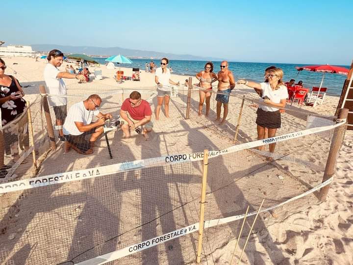 Quartu, schiusa delle uova imminente: le baby tartarughe pronte a uscire dal guscio