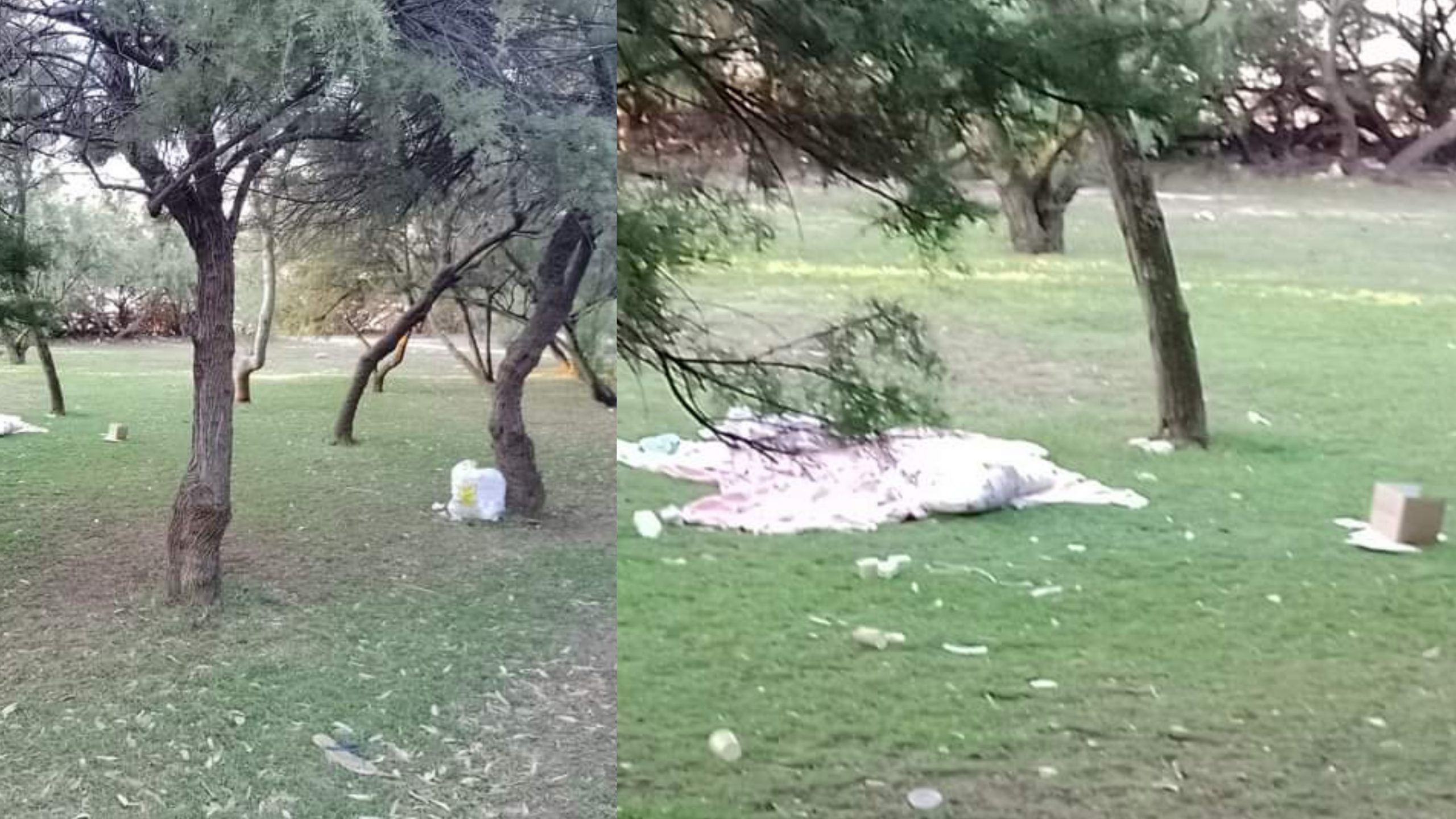 Capoterra, vandali scatenati al parco comunale Maddalena