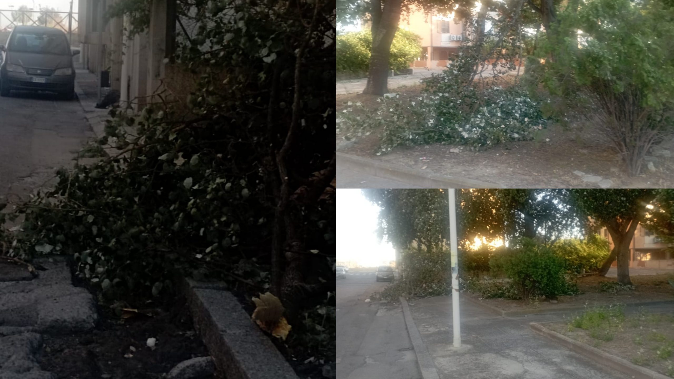 Quartu, tragedia sfiorata in via Perosi: un grosso ramo di una pianta si  spezza a causa del forte vento