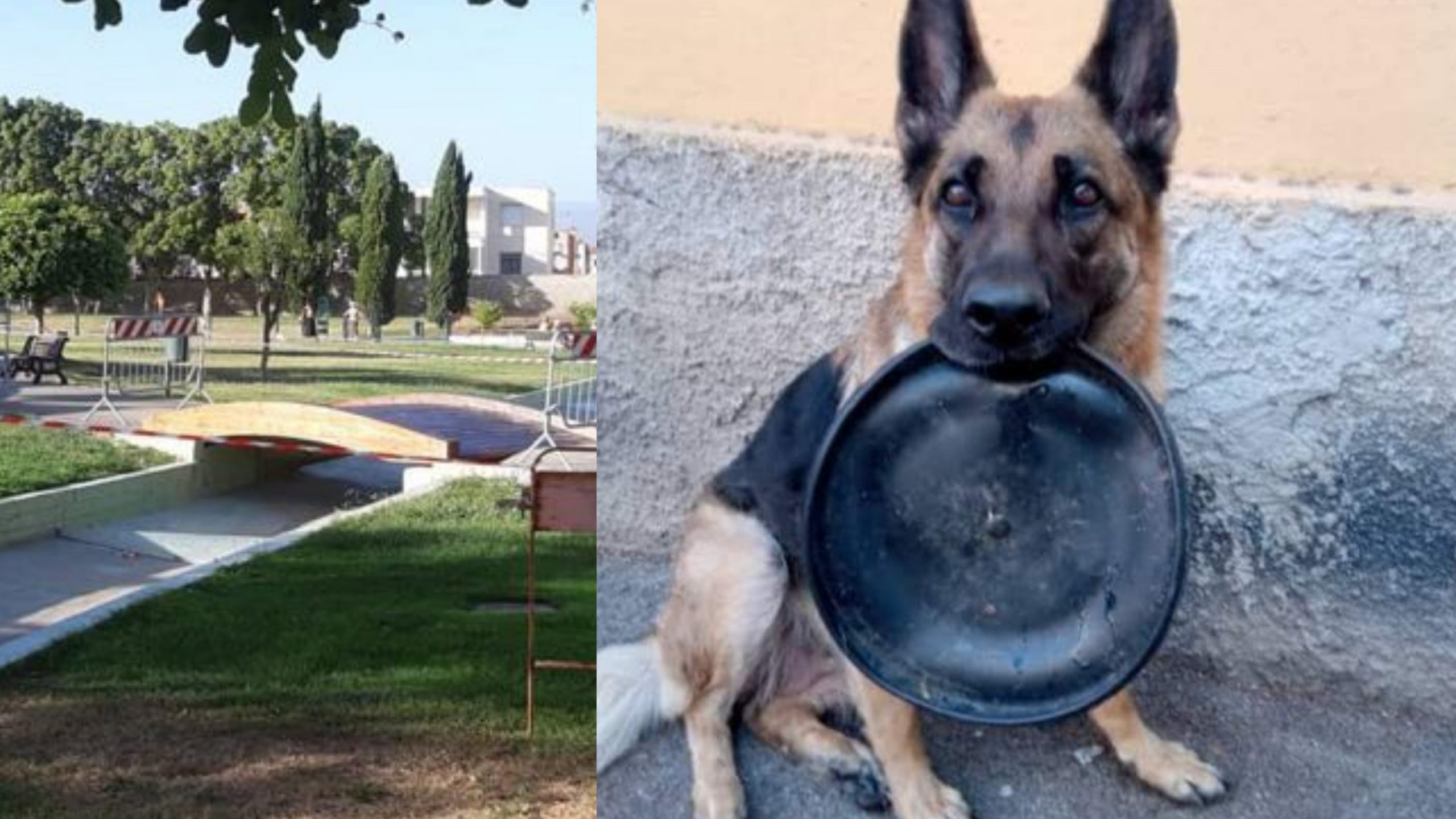 Cagliari, nel parco dell’ex Vetreria un murale in memoria di Kira: il pastore tedesco amico di tutti