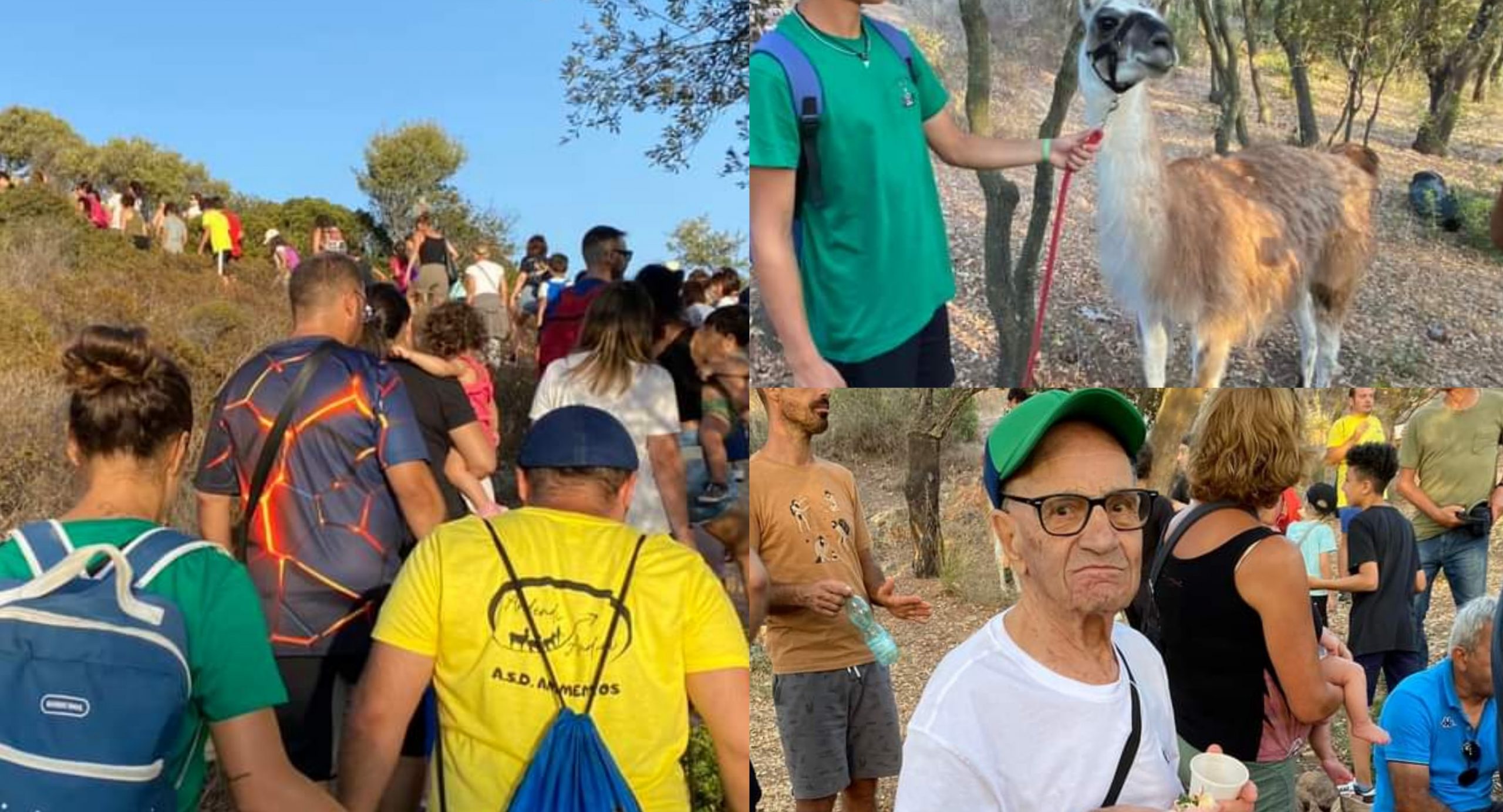 Settimo, alla scoperta delle Domus de Janas in compagnia di lama e asinelli