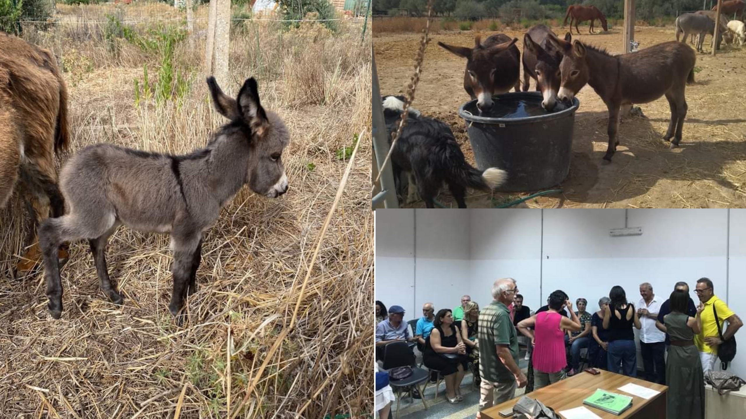A Quartucciu un orto condiviso per riscoprire il rapporto con la terra e le tradizioni