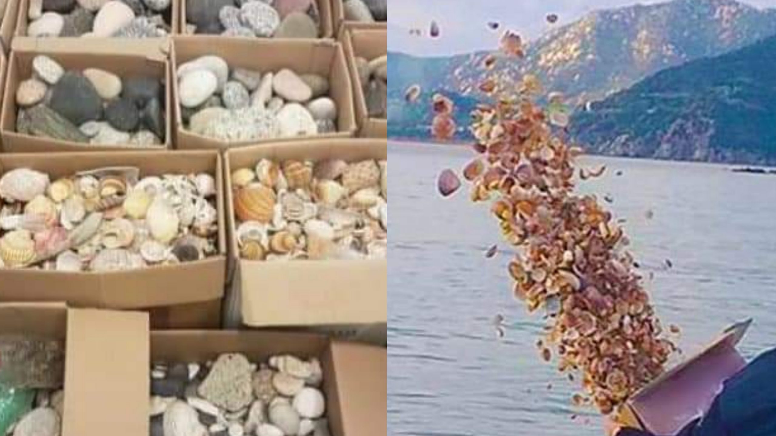 Sardegna, sabbia e ciottoli sequestrati in aeroporto riportati nei litorali d’origine