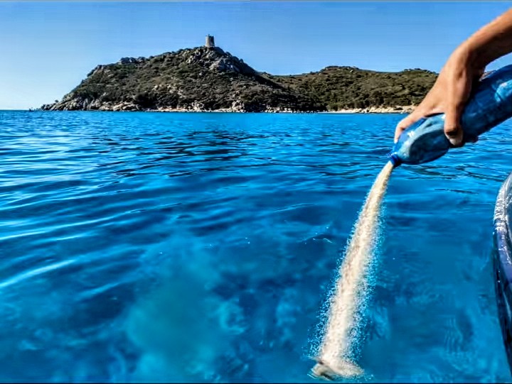 Sabbia e conchiglie rubate ritornano a casa a Villasimius