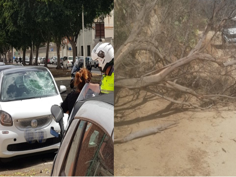 Pali e alberi crollati, danni alle auto e strade ko: il forte vento crea danni nel sud Sardegna