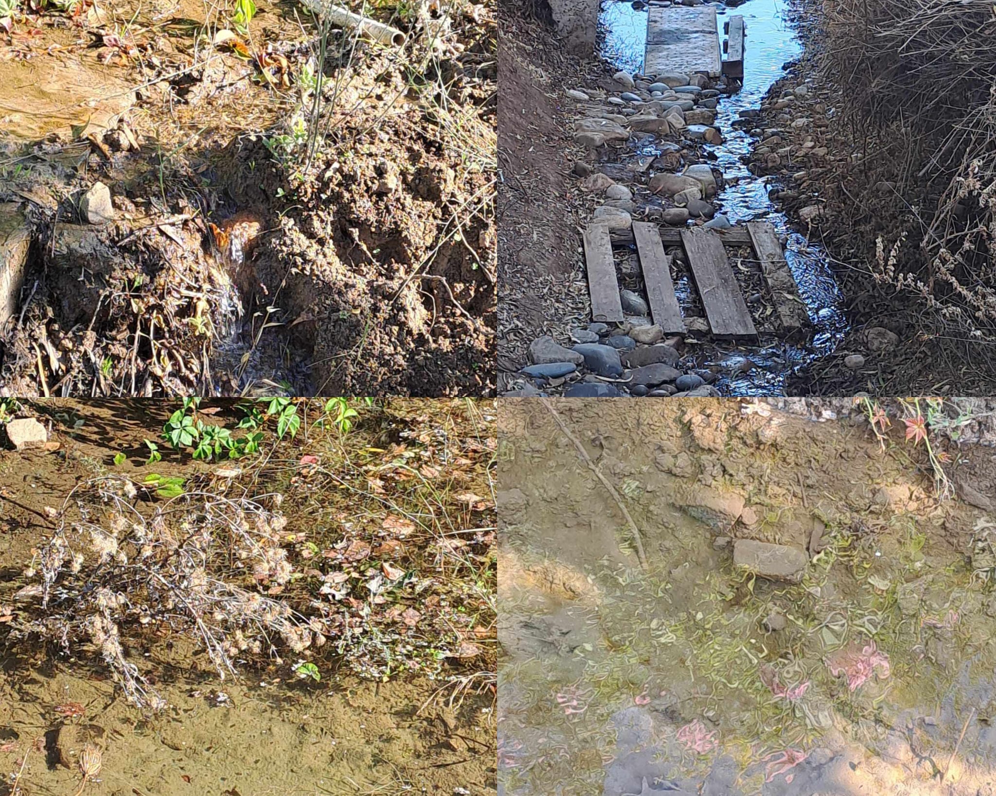 Maxi perdita idrica a Terra Mala: “Così da un mese, Abbanoa non ripara perchè ci sono i turisti”