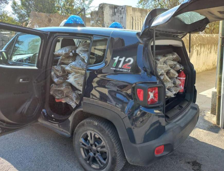 Nascondeva 100 kg di marijuana nella cisterna: in manette un agricoltore pregiudicato di Tuili