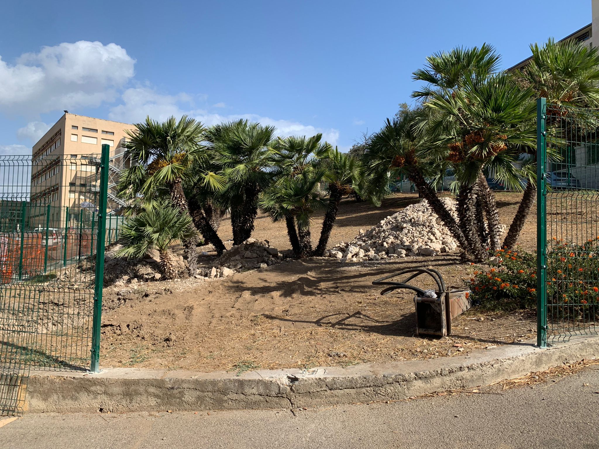 Cagliari, svolta verde a Sant’Avendrace: nuovo giardino con area cani in via Rovereto