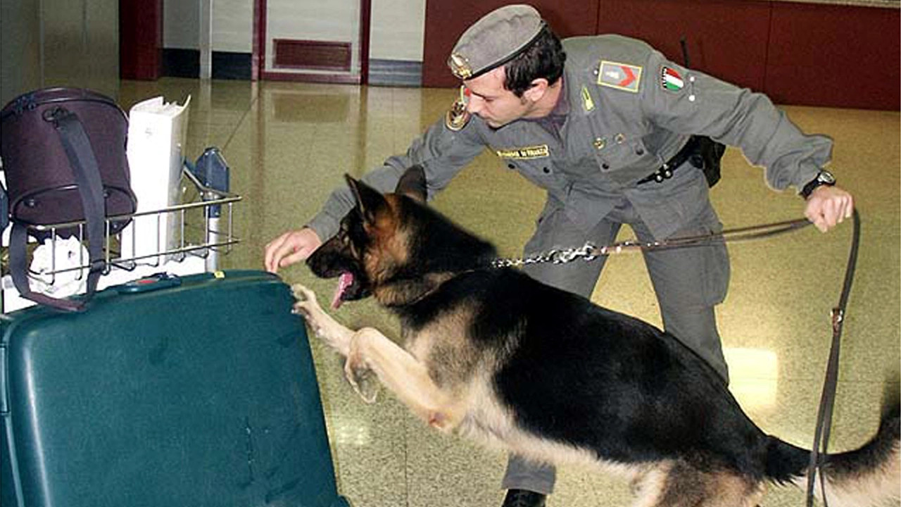 In viaggio per Alghero con l’eroina nascosta negli slip, 36enne nigeriana arrestata all’aeroporto