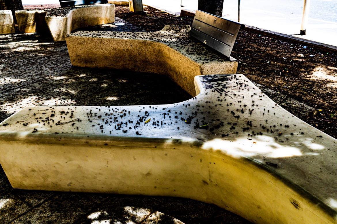 Cagliari, Piazza Gramsci è una vergogna: “Non solo cantieri, qui regnano sporcizia e degrado”