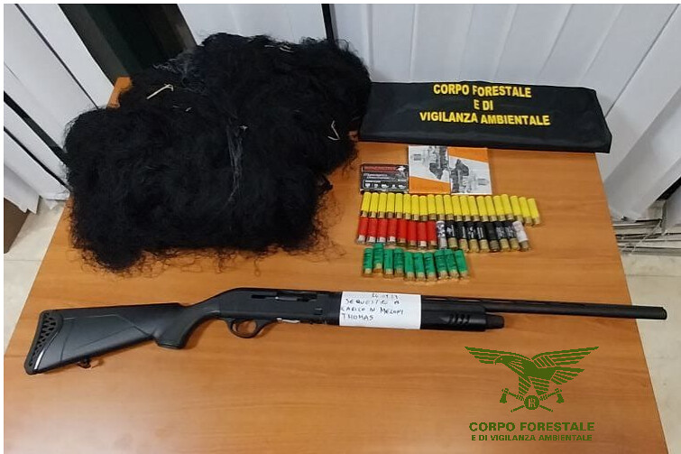 Bracconieri in auto nel parco di Gutturu Mannu beccati dalla forestale: scattano multe e sequestri