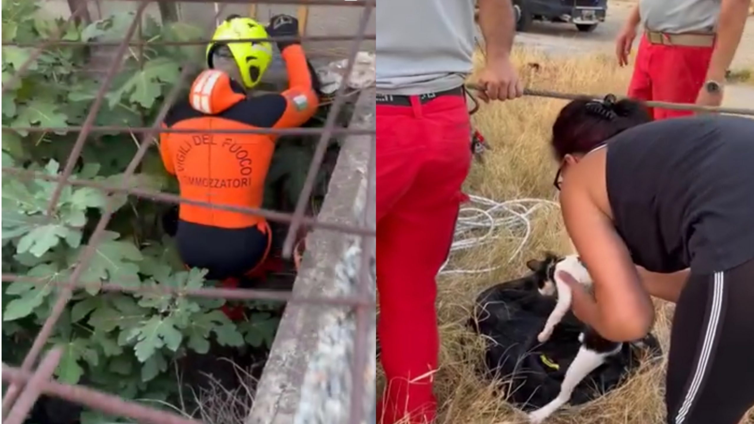Dolianova, gattino in un pozzo salvato dai vigili del fuoco: “I supereroi spesso indossano una divisa rossa”