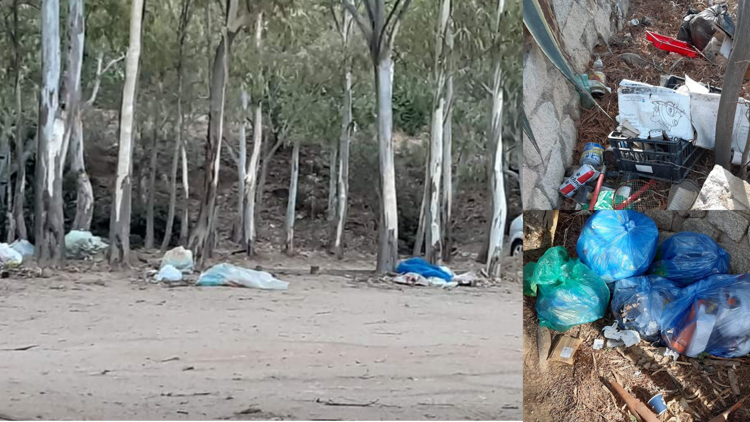 Torre delle Stelle sommersa dai rifiuti: l’altra faccia della rinomata località balneare