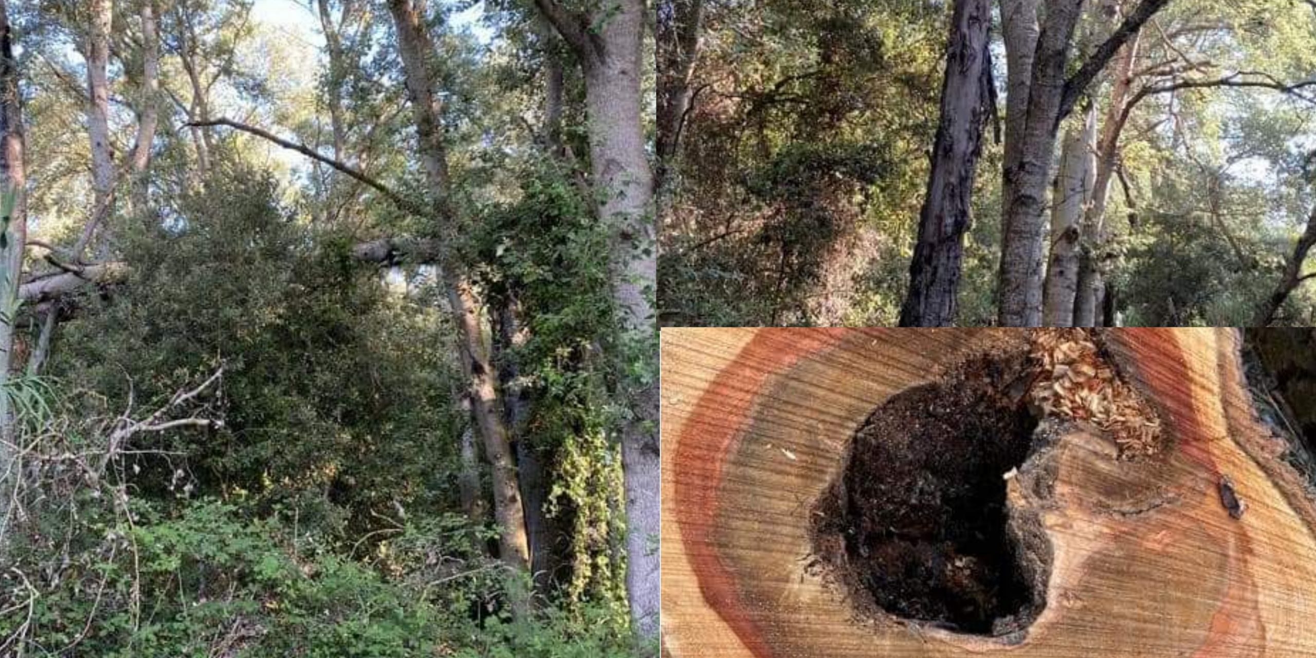 Parco Pixinortu, 700 mila euro per la ristrutturazione del centro servizi di ristoro