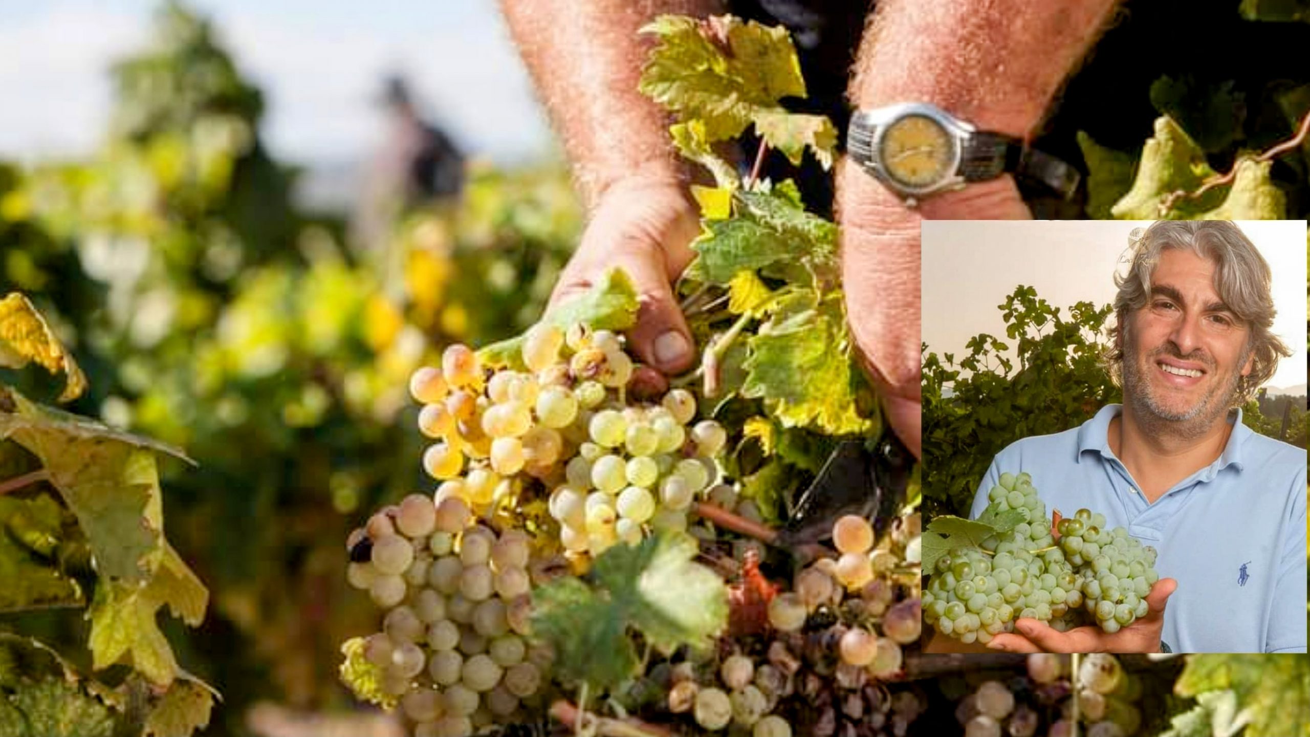 Monserrato, calici in alto per la 28^ sagra “Sa Fest’e Sa Binnenna”