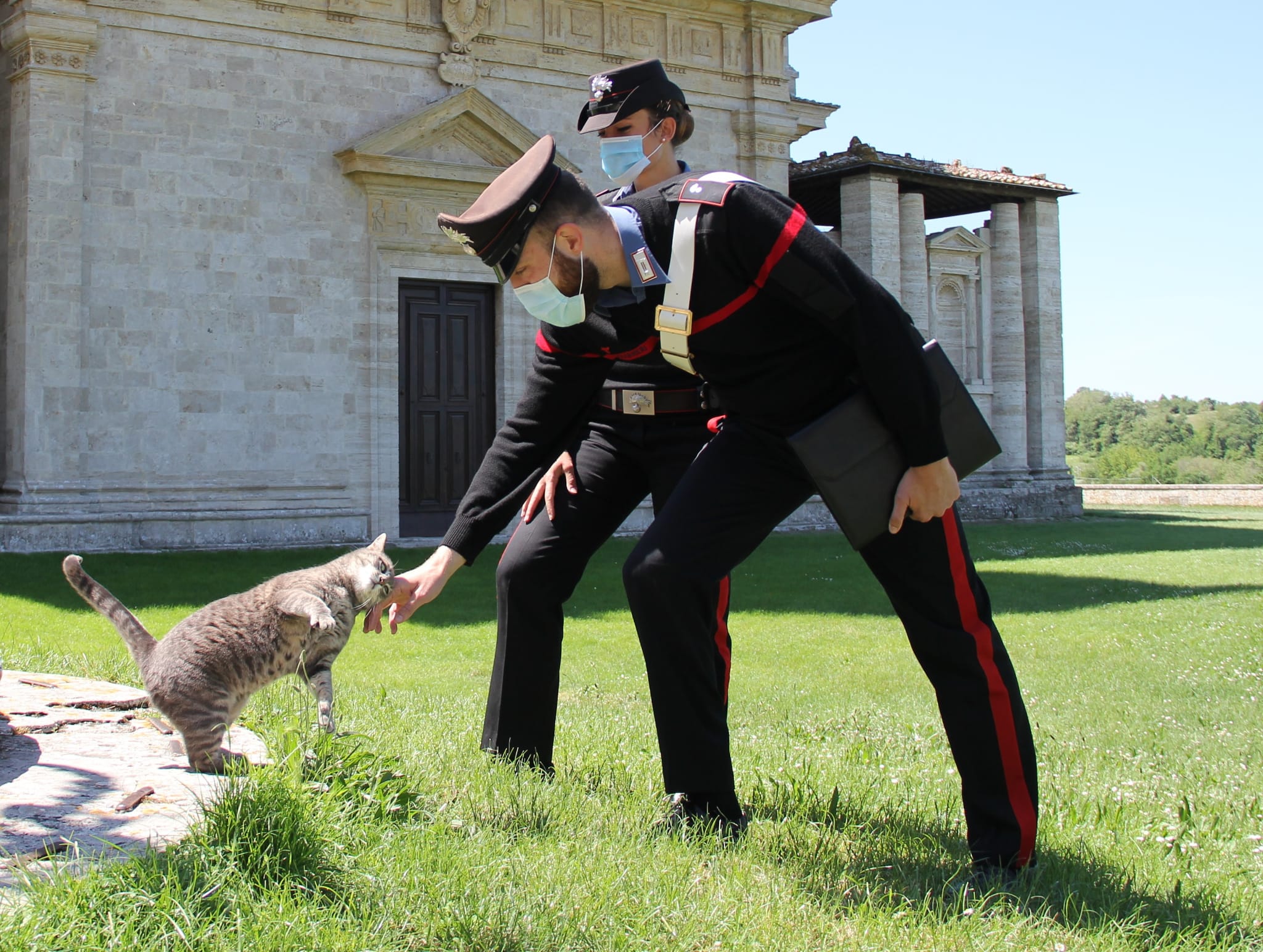 Gatti avvelenati a Villasor, un impiegato confessa: “Bocconcini con lumachicida per ucciderli”