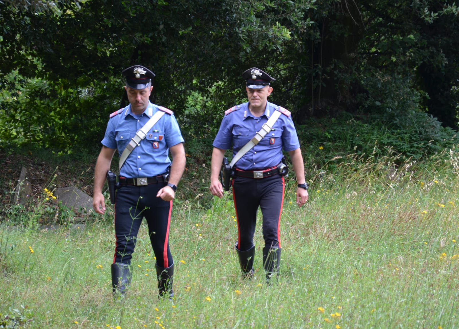 Tre lavoratori in nero in un’azienda agricola a Santadi, sanzione di oltre 10 mila euro per la titolare