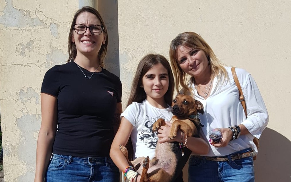 Pabillonis, lieto fine per Lillo: il cagnolino inconsolabile dopo la morte della sua padrona