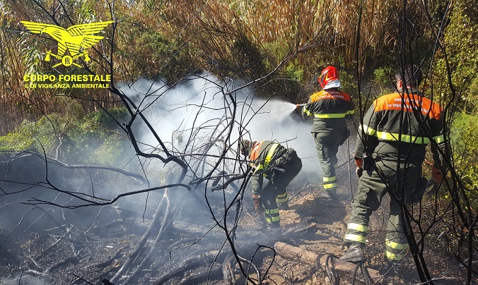 Il maestrale alimenta il fuoco in Sardegna: oggi 17 incendi