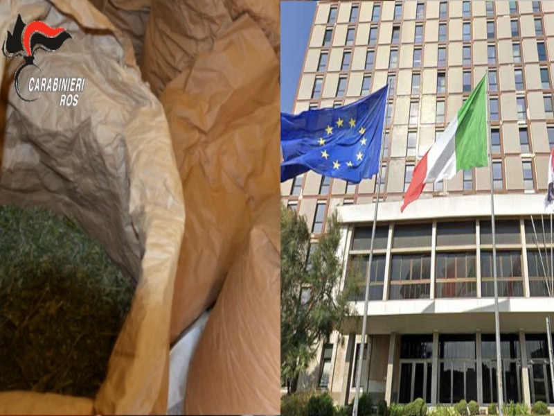 Le mani della criminalità su Sanità e Agricoltura in Sardegna: il “sistema Mesina” infiltrato nella pubblica amministrazione