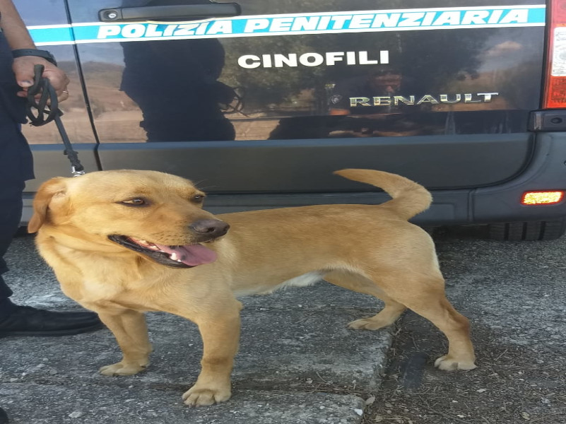 Cerca di entrare in carcere con una pallina di hascisc in bocca, 23enne di Cagliari nei guai