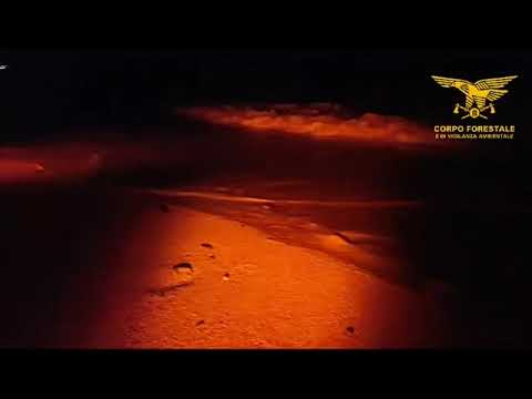 Sardegna, il grande show delle uova delle tartarughe: nuove schiuse a Pula e Lotzorai