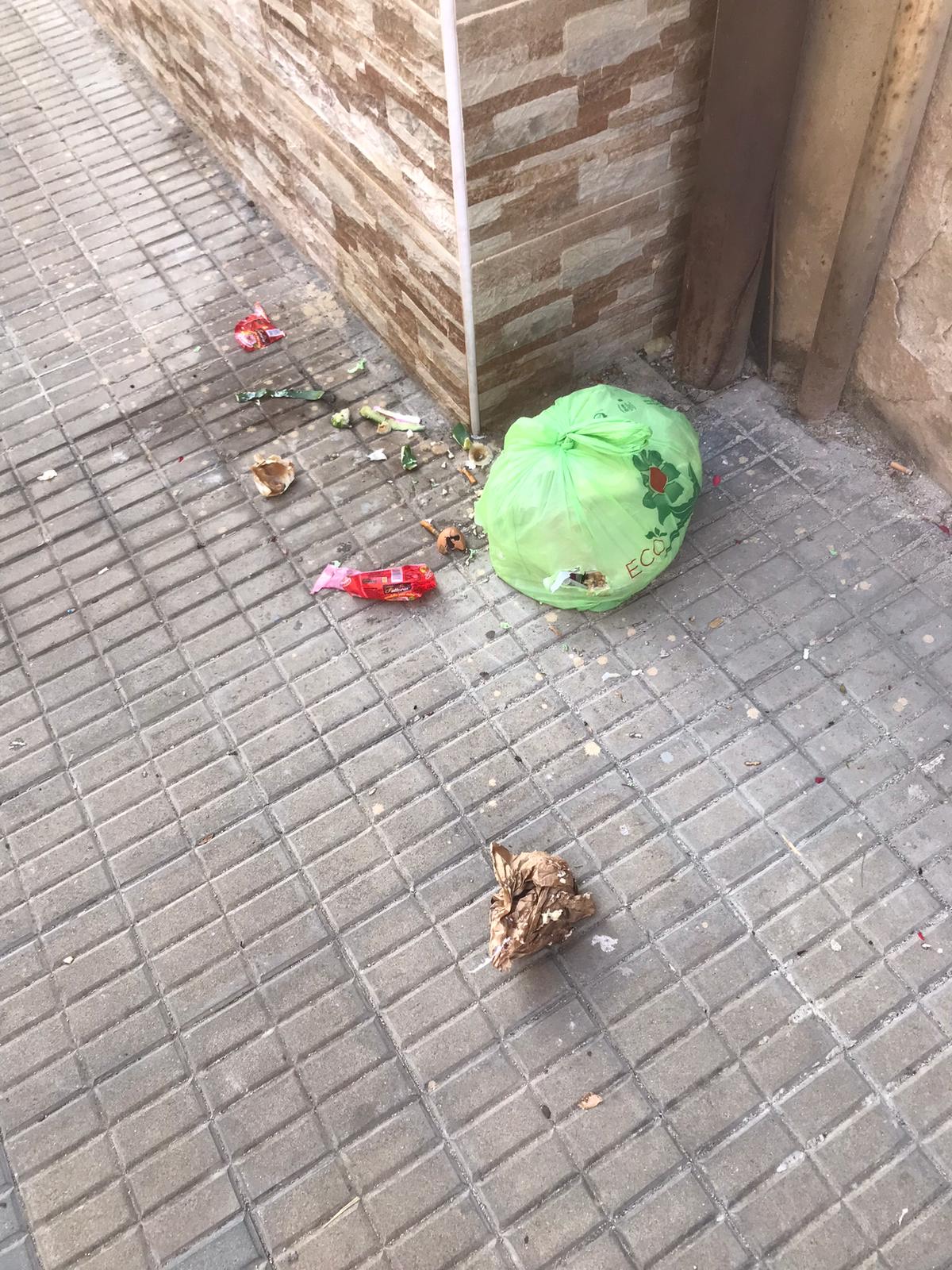 Cagliari, lo sfogo di una ragazza: “Buste dell’umido rotte in strada, viviamo tra fetore e insetti”