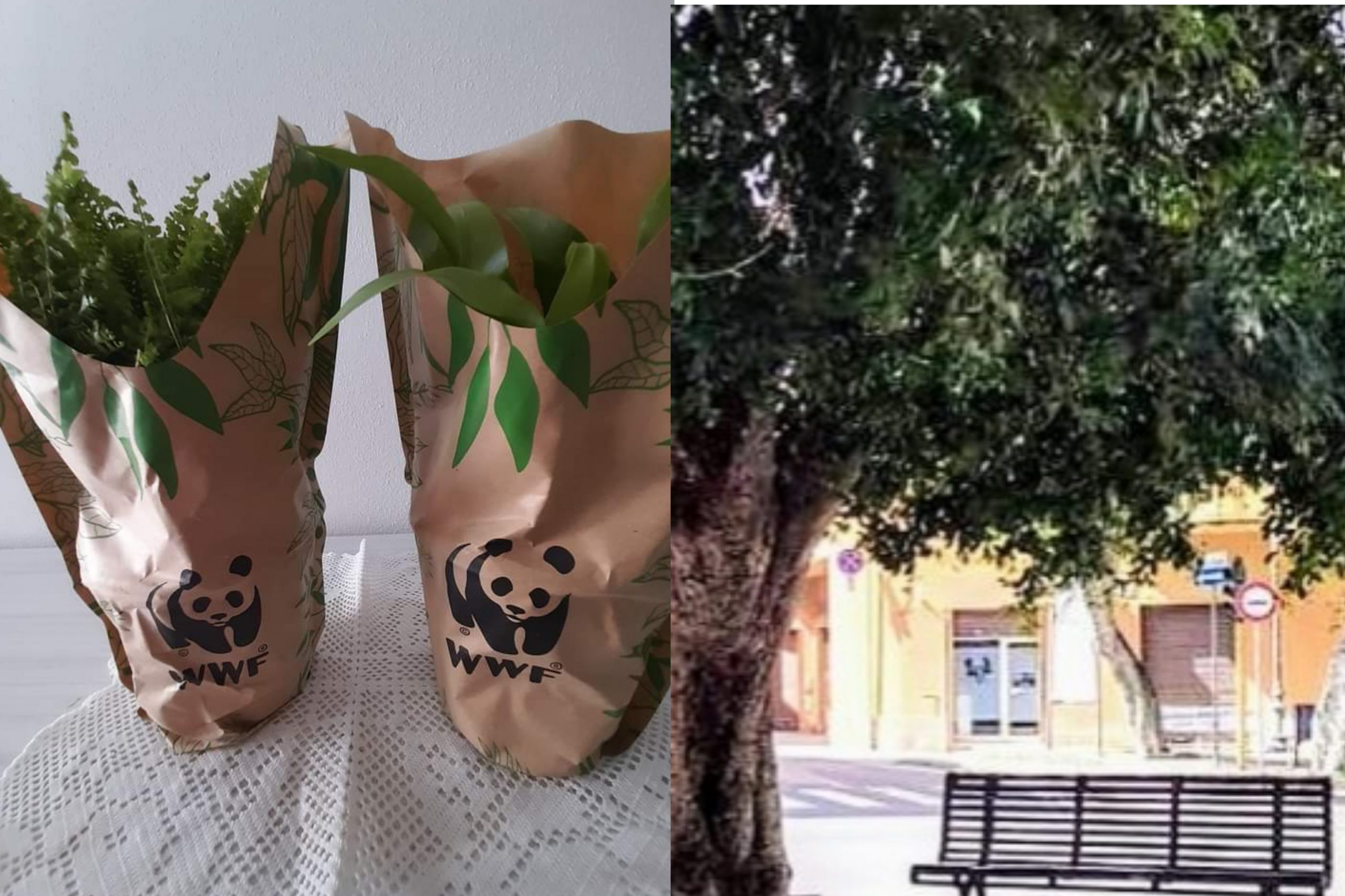 Monserrato, un’oasi in ospedale: piante e sorrisi per i piccoli ricoverati