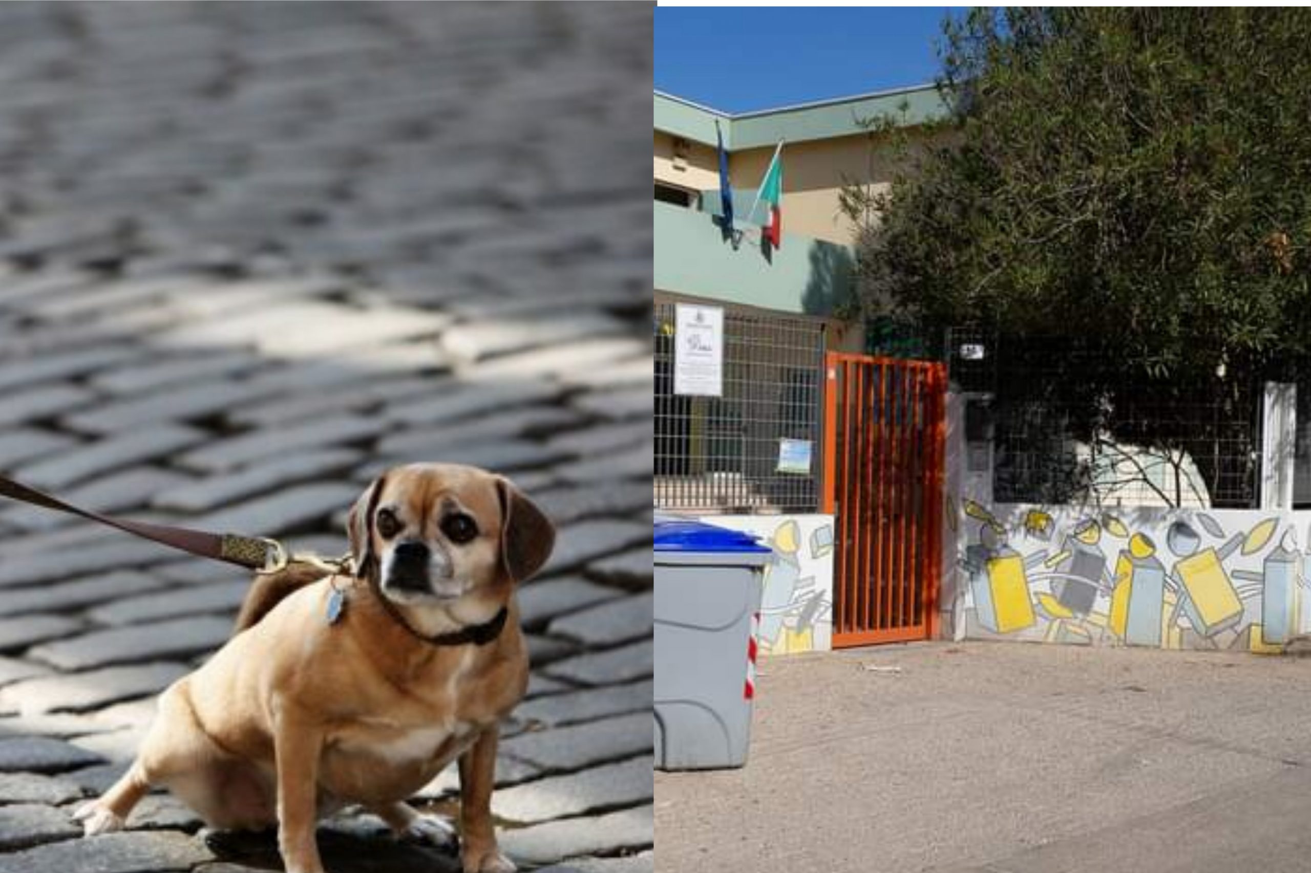 Slalom tra le deiezioni canine a Sestu: “I bimbi a scuola coi trolley sporchi e le scarpe sudicie”