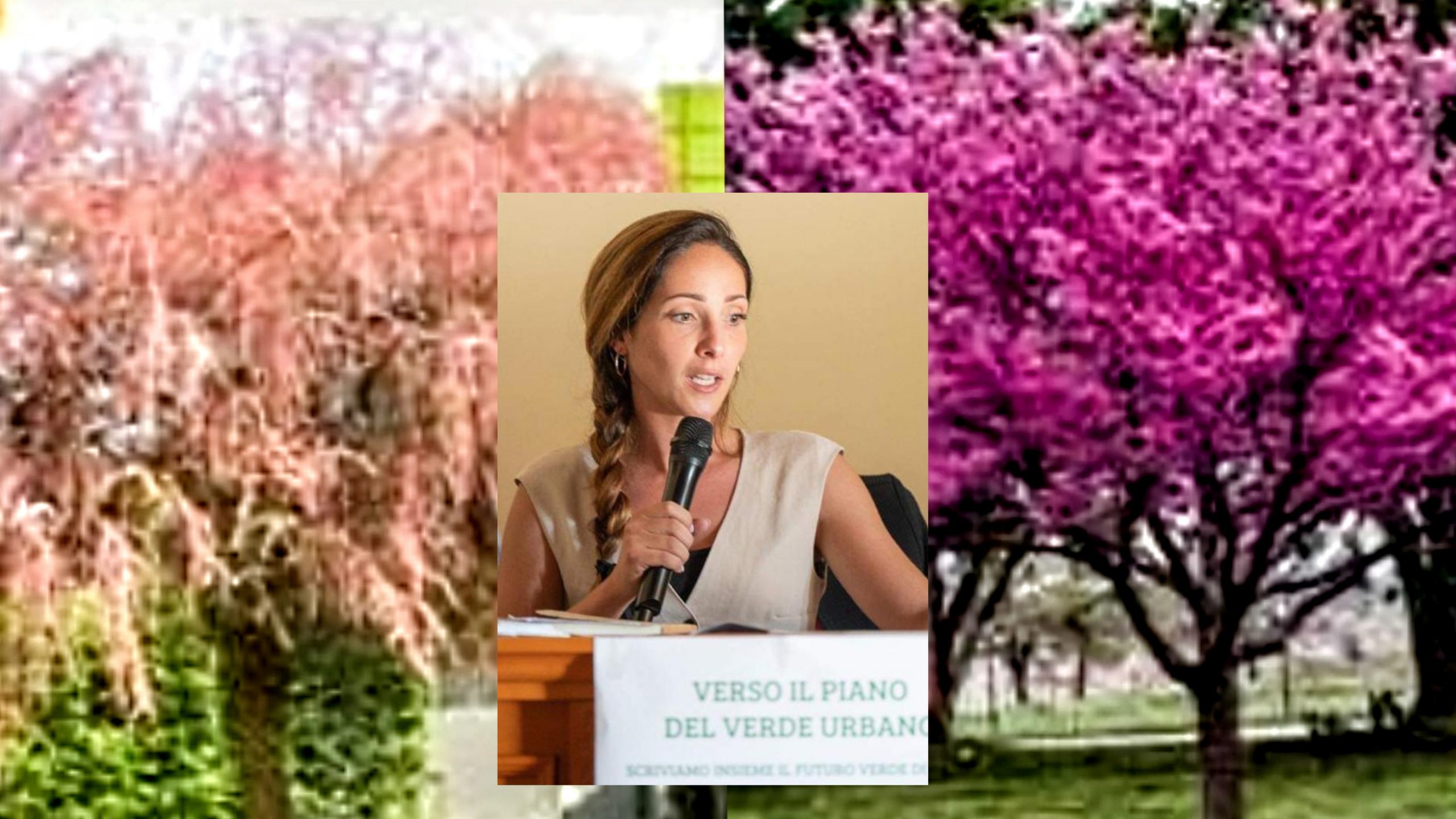 Sestu, si vestirà di rosa e magenta il nuovo viale alberato in via Dante