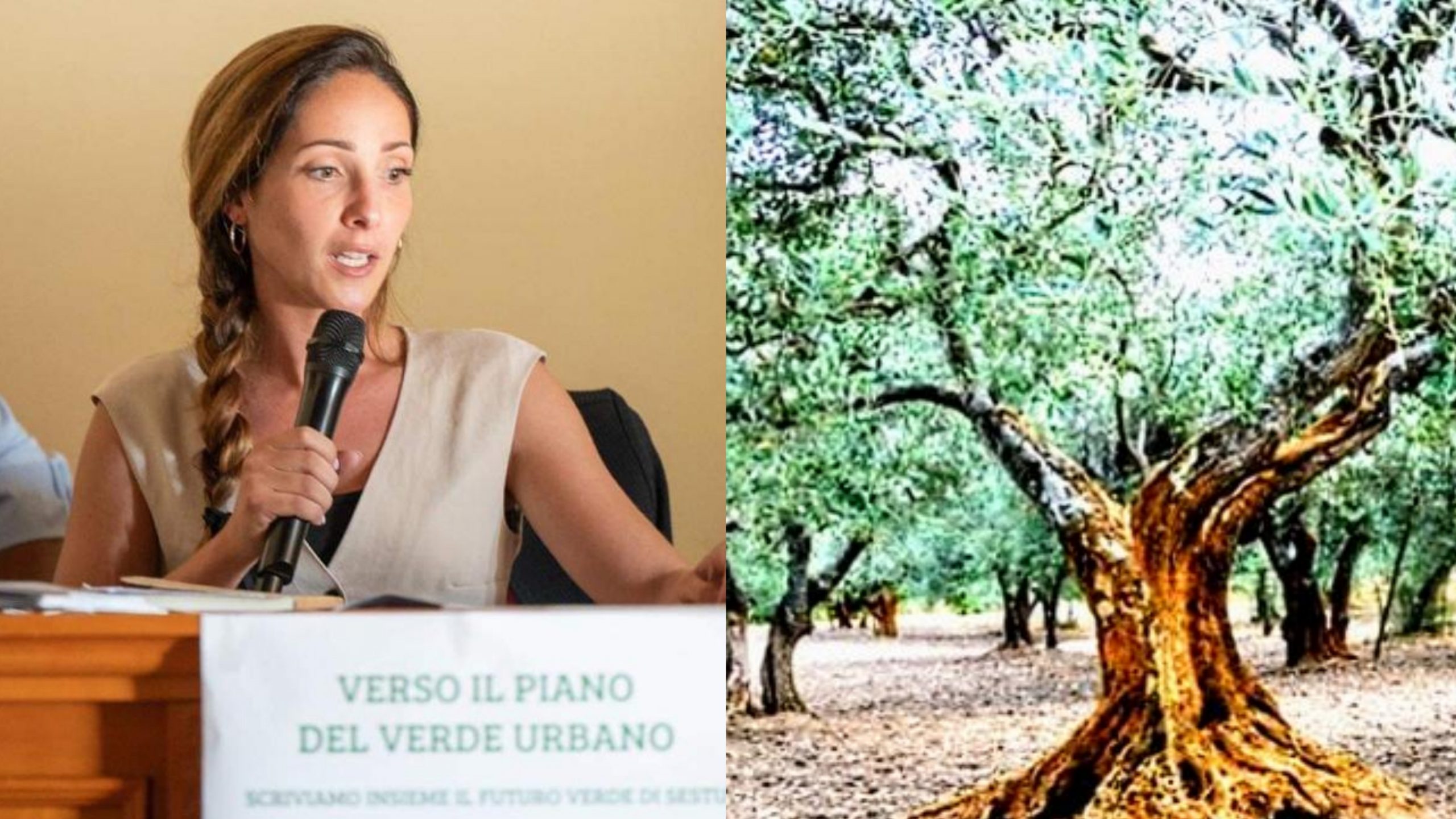 Sestu, il Piano del Verde slitta a data da definirsi