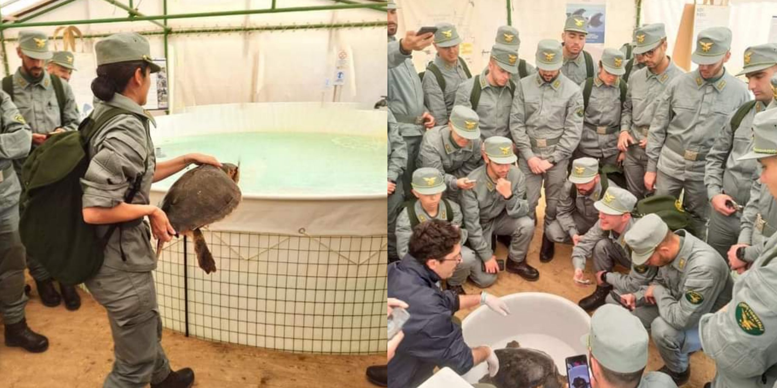 Pula, le guardie ambientali si formeranno al parco archeologico di Nora