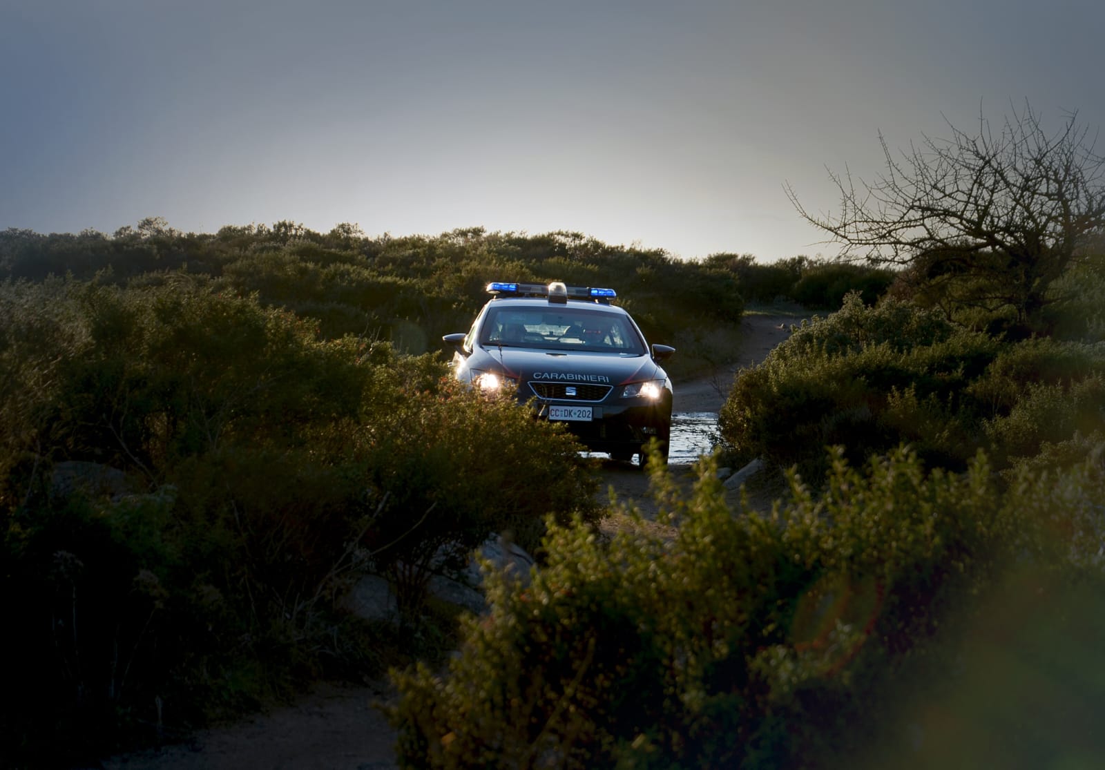 Assemini, tentano di rubare cannabis da una piantagione industriale: il furto sventato dai carabinieri