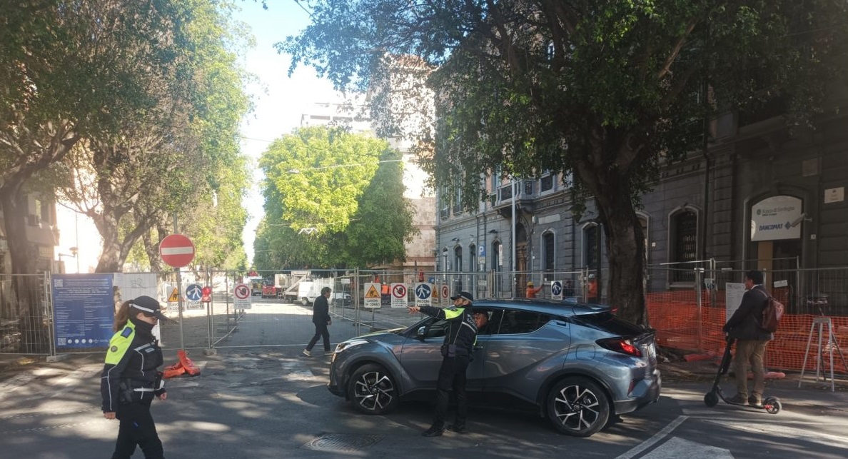 Cantiere bloccato in viale Trieste, il Comune di Cagliari: “L’abbiamo fermato per salvare un albero”