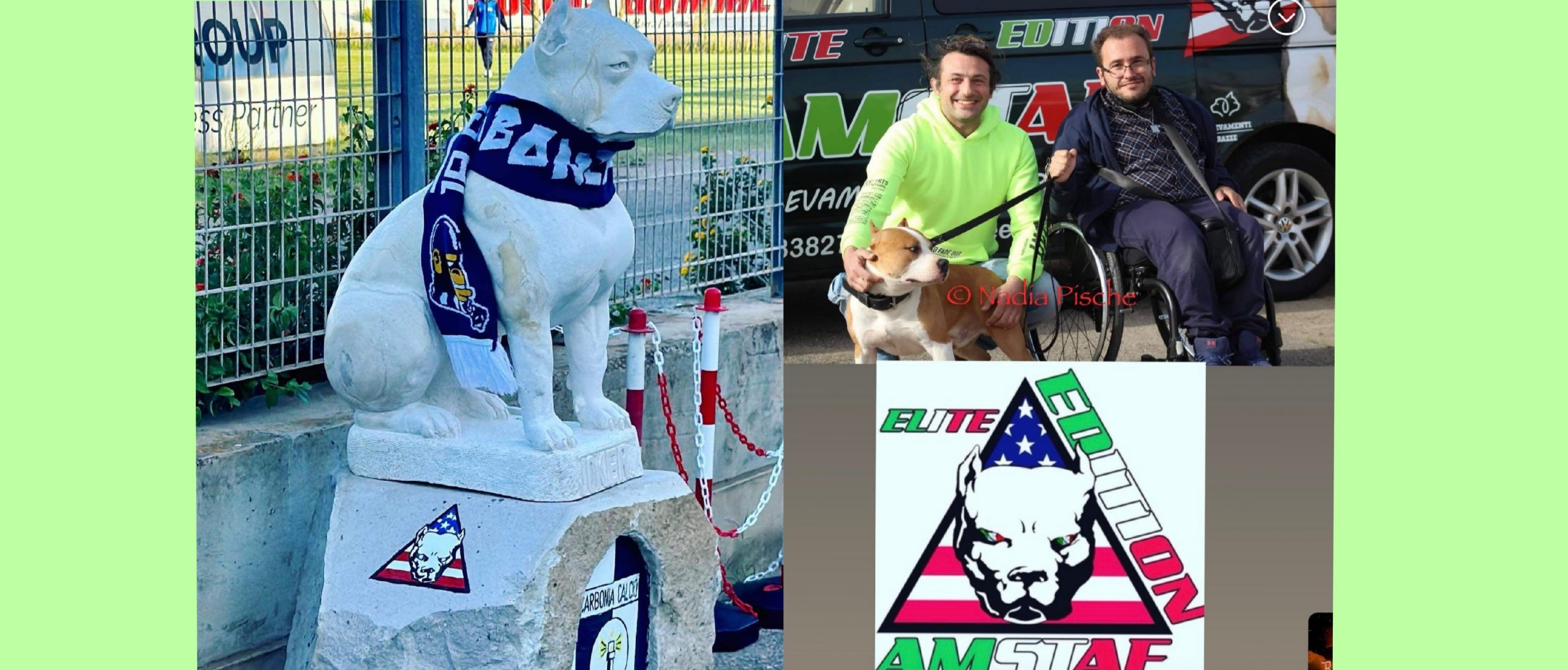 Una statua per Joker, la mascotte del Carbonia calcio