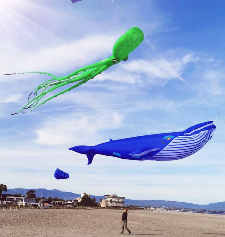 Riempiranno il cielo di Cagliari: al Poetto la “Festa internazionale degli aquiloni”