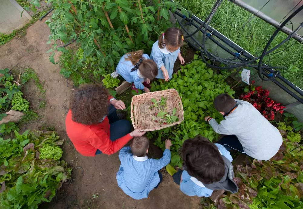 Quartu, gli alunni saranno piccoli giardinieri: “Sì agli orti urbani nei giardini delle scuole”