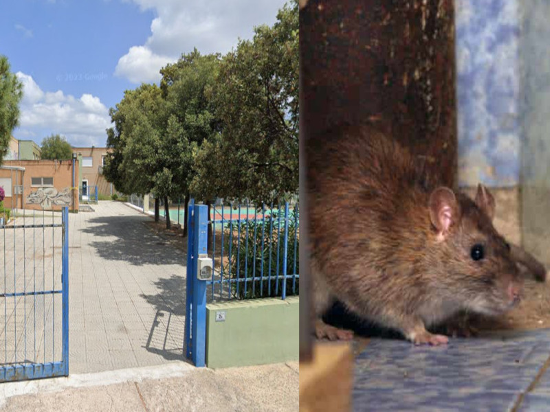 Ratti ed escrementi, a Quartu 12 giorni di vacanza per gli studenti della scuola di Flumini