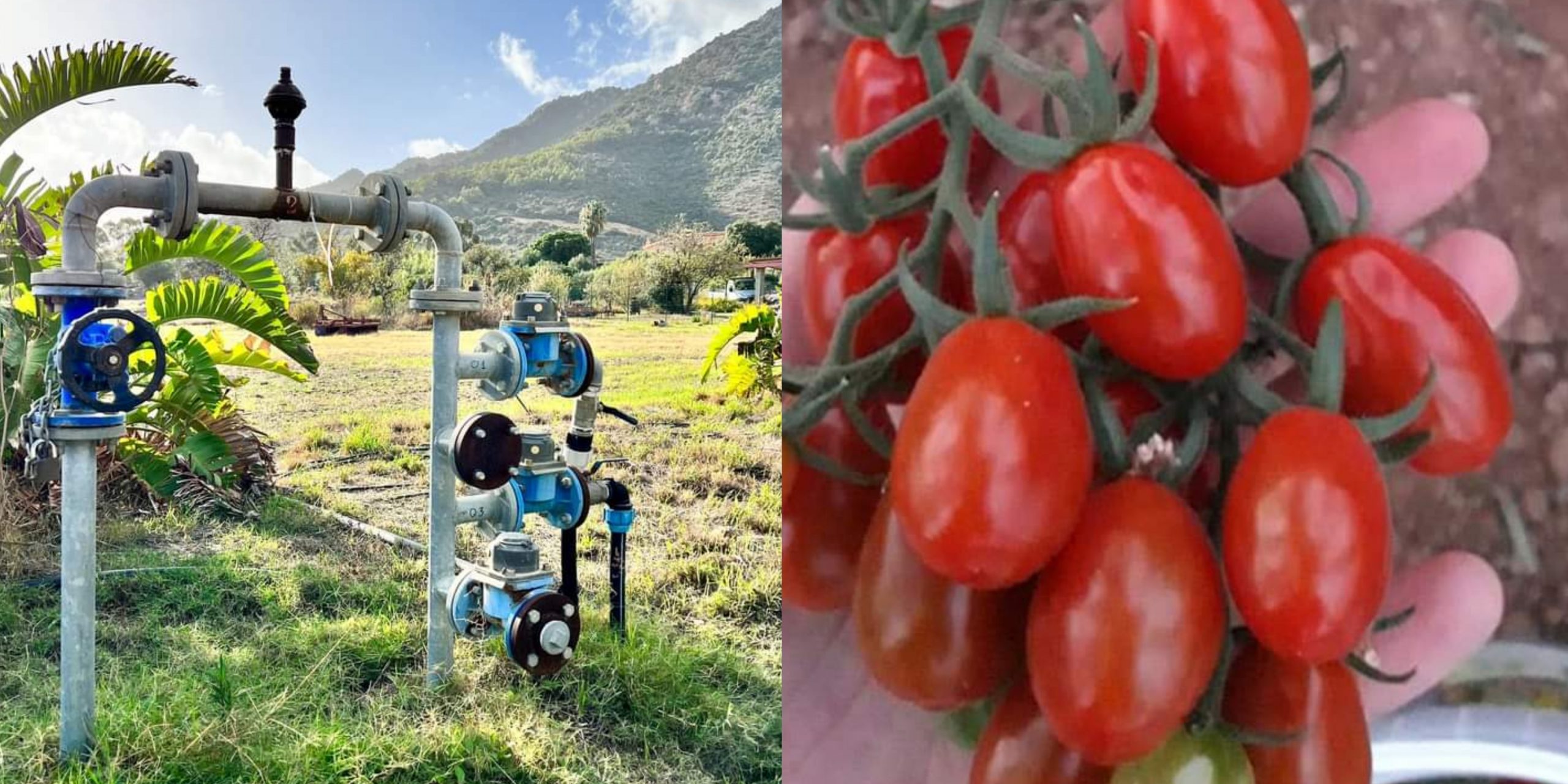 Pula, l’acqua con il contagocce per gli agricoltori sarà solo un ricordo